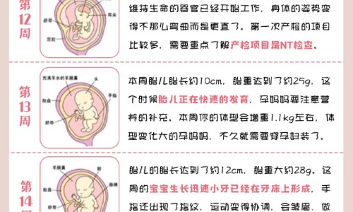 喝酒后头疼头晕吃什么药-【喝酒头晕全身出汗怎么回事】喝完酒头晕出冷汗 - 喝酒后头晕全身出汗网