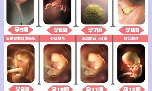 喝完酒头晕出冷汗-【喝酒头晕全身出汗怎么回事】喝完酒头晕出冷汗 - 喝酒后头晕全身出汗网
